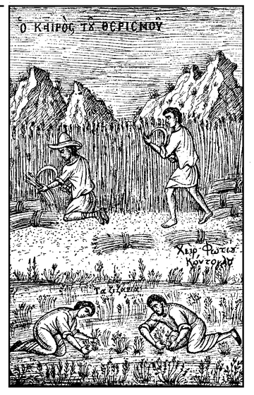 The Parable of the Harvest showing workers reaping and gathering wheat in a field, with Greek text identifying the scene