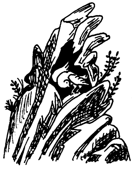 A dove descending amid dramatic rays of light and foliage, representing the Holy Spirit's descent, rendered in bold black and white